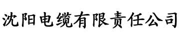 姐姐说家里没人的时候可以做电缆厂logo